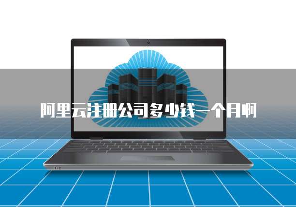 阿里云注册公司多少钱一个月啊