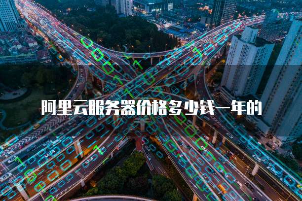 阿里云服务器价格多少钱一年的