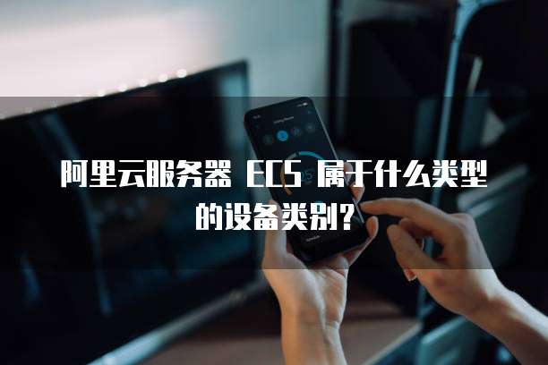 阿里云服务器 ECS 属于什么类型的设备类别?