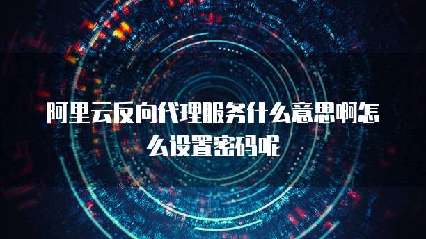 阿里云反向代理服务什么意思啊怎么设置密码呢