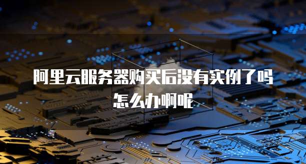 阿里云服务器购买后没有实例了吗怎么办啊呢