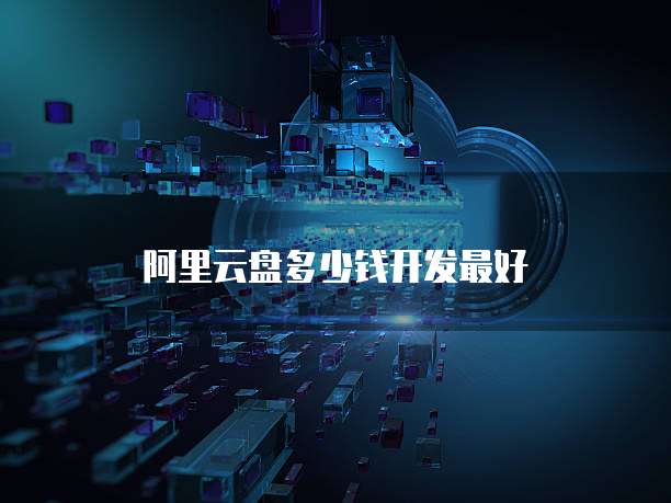 阿里云盘多少钱开发最好