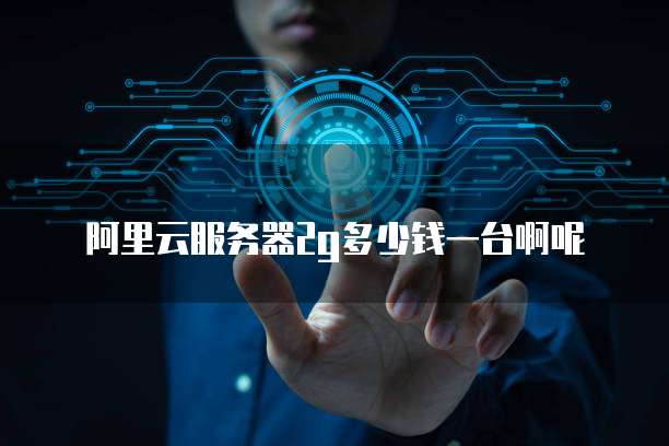 阿里云服务器2g多少钱一台啊呢