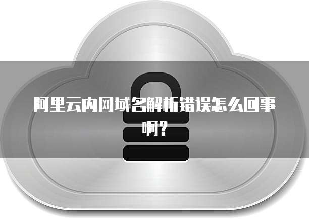 阿里云内网域名解析错误怎么回事啊?