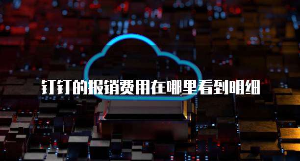 钉钉的报销费用在哪里看到明细