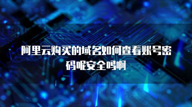 阿里云购买的域名如何查看账号密码呢安全吗啊