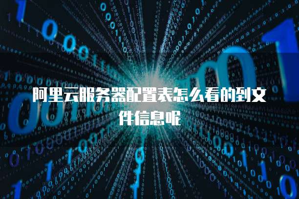 阿里云服务器配置表怎么看的到文件信息呢