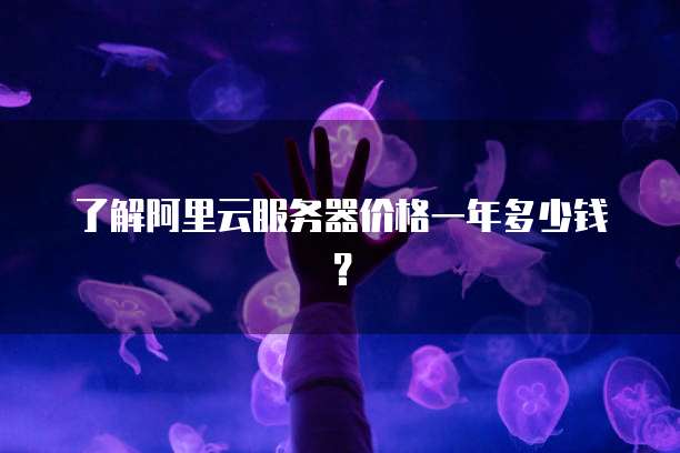 了解阿里云服务器价格一年多少钱?