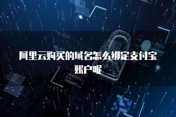 阿里云购买的域名怎么绑定支付宝账户呢