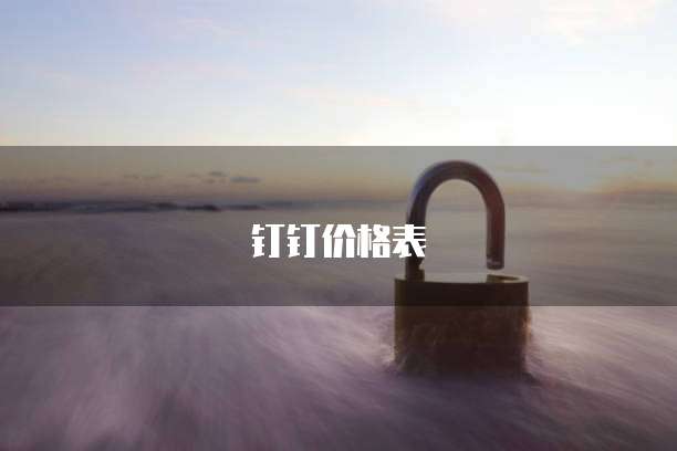 钉钉价格表