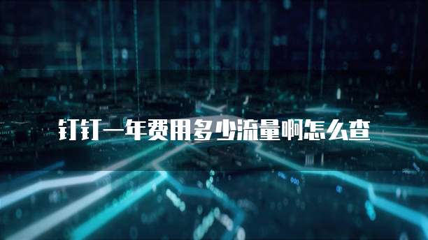 钉钉一年费用多少流量啊怎么查