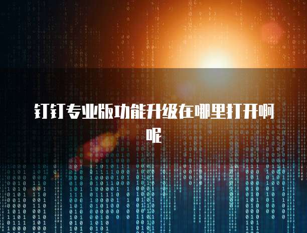 钉钉专业版功能升级在哪里打开啊呢