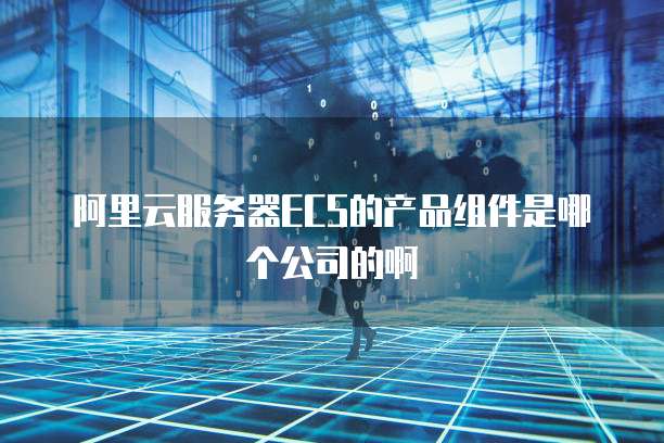 阿里云服务器ECS的产品组件是哪个公司的啊
