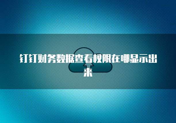 钉钉财务数据查看权限在哪显示出来