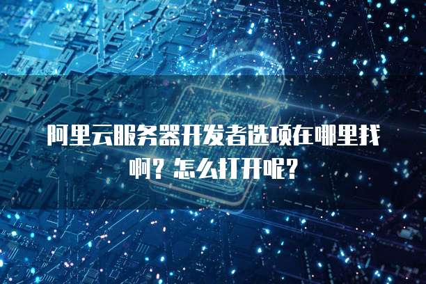 阿里云服务器开发者选项在哪里找啊?怎么打开呢?