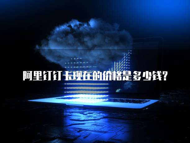 阿里钉钉卡现在的价格是多少钱?