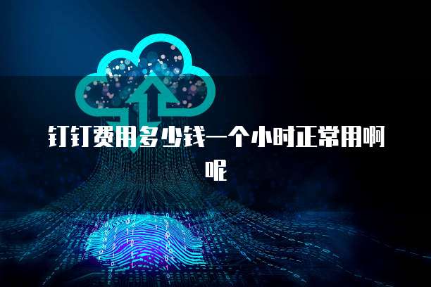 钉钉费用多少钱一个小时正常用啊呢