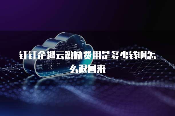 钉钉企趣云激励费用是多少钱啊怎么退回来