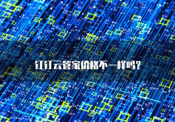 钉钉云管家价格不一样吗?