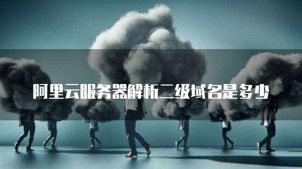 阿里云服务器解析二级域名是多少