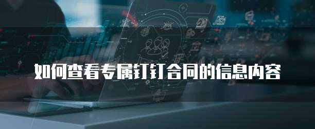 如何查看专属钉钉合同的信息内容