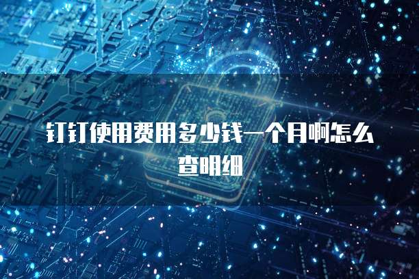 钉钉使用费用多少钱一个月啊怎么查明细