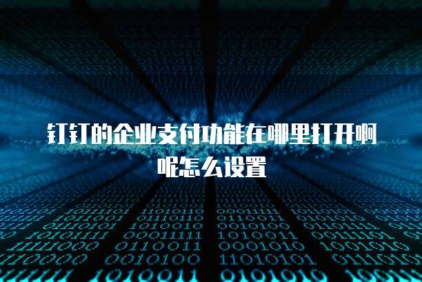 钉钉的企业支付功能在哪里打开啊呢怎么设置