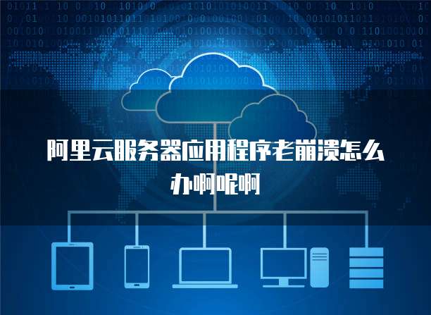 阿里云服务器应用程序老崩溃怎么办啊呢啊