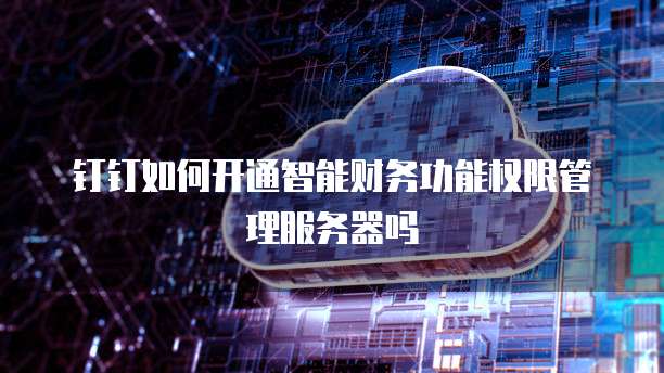钉钉如何开通智能财务功能权限管理服务器吗