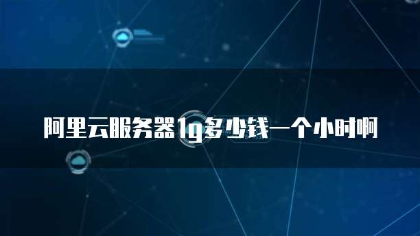 阿里云服务器1g多少钱一个小时啊