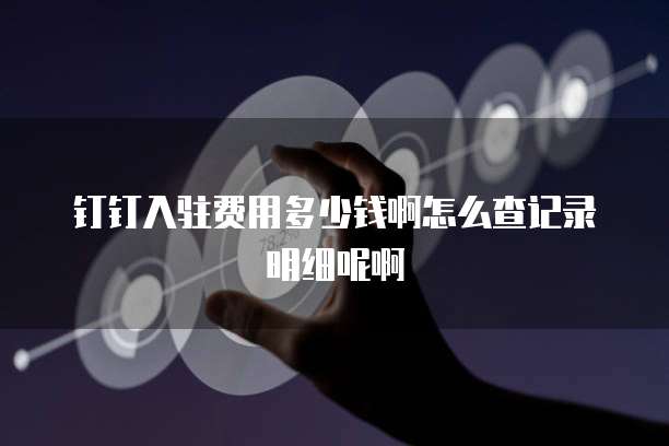 钉钉入驻费用多少钱啊怎么查记录明细呢啊