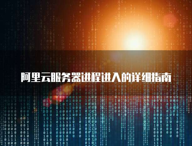 阿里云服务器进程进入的详细指南