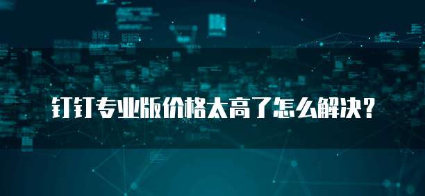 钉钉专业版价格太高了怎么解决?