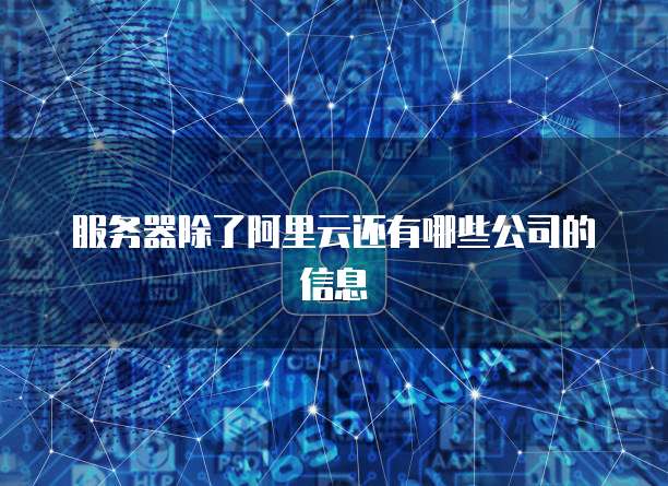 服务器除了阿里云还有哪些公司的信息