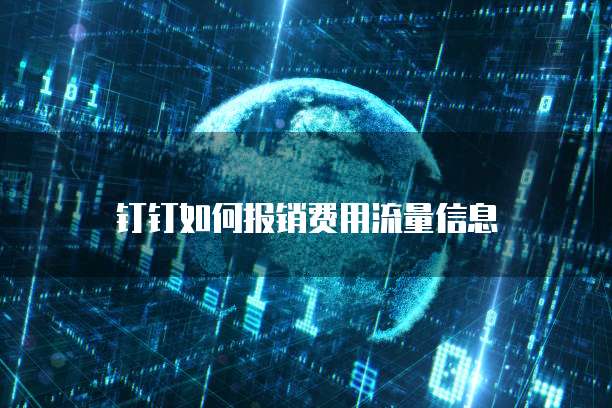 钉钉如何报销费用流量信息