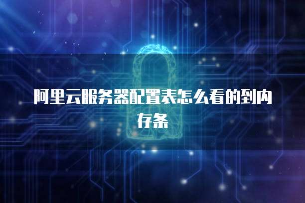 阿里云服务器配置表怎么看的到内存条