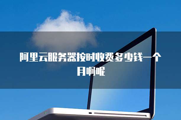 阿里云服务器按时收费多少钱一个月啊呢