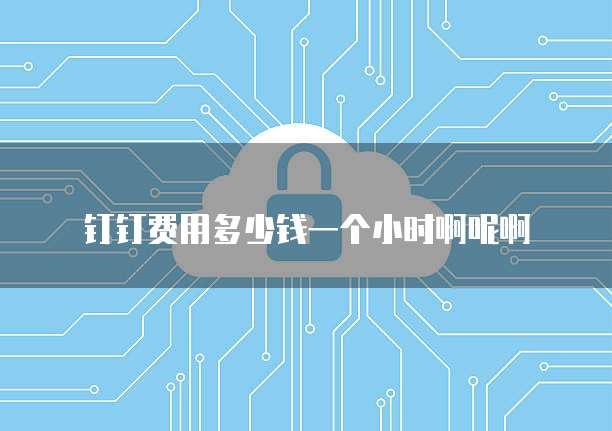 钉钉费用多少钱一个小时啊呢啊