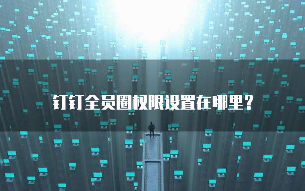 钉钉全员圈权限设置在哪里？