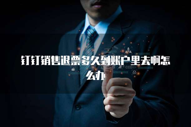 钉钉销售退票多久到账户里去啊怎么办