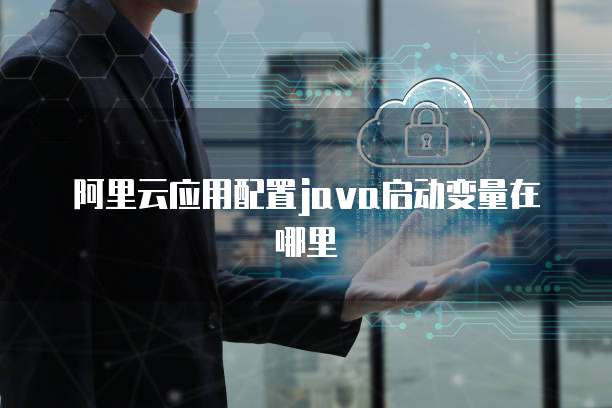 阿里云应用配置java启动变量在哪里