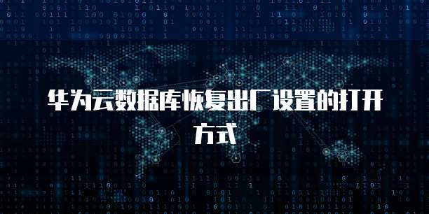 阿里云海外服务器:限制和安全性