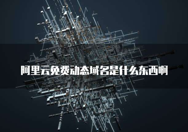 阿里云免费动态域名是什么东西啊