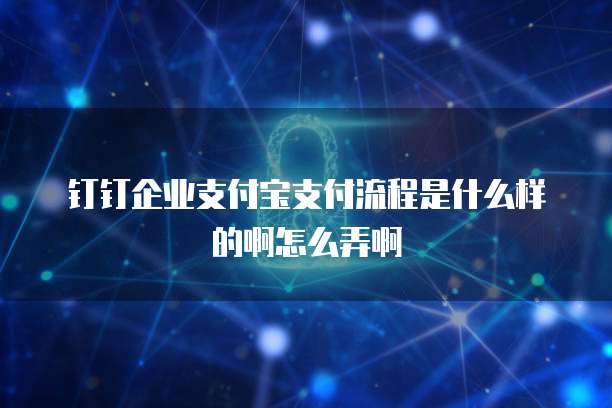 钉钉企业支付宝支付流程是什么样的啊怎么弄啊
