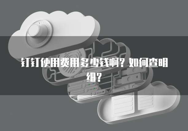钉钉使用费用多少钱啊?如何查明细?