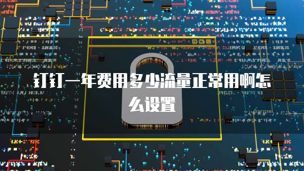 钉钉一年费用多少流量正常用啊怎么设置