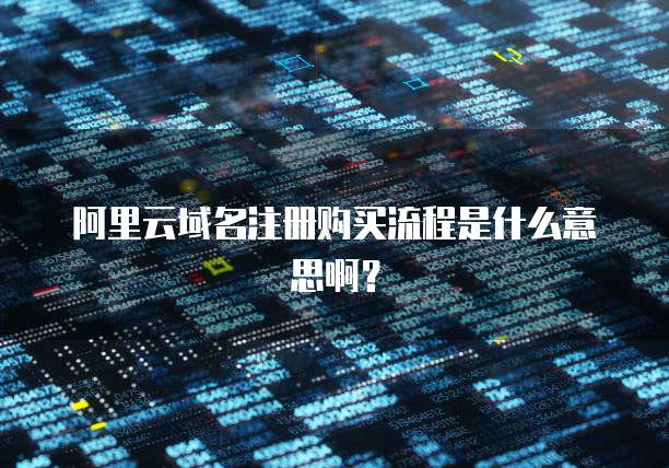 阿里云域名注册购买流程是什么意思啊?