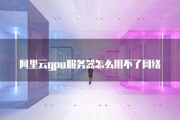 阿里云gpu服务器怎么用不了网络