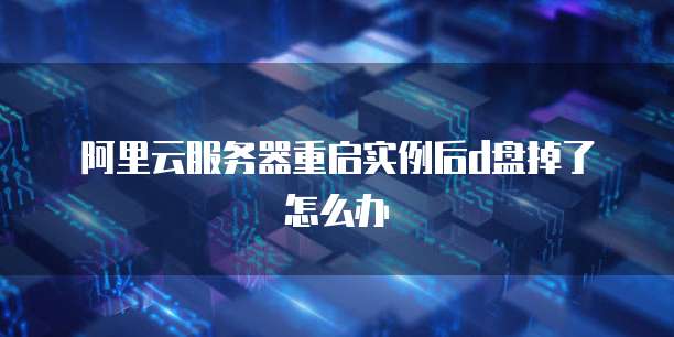 阿里云服务器重启实例后d盘掉了怎么办