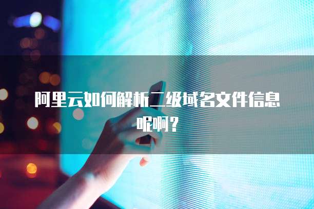 阿里云如何解析二级域名文件信息呢啊?